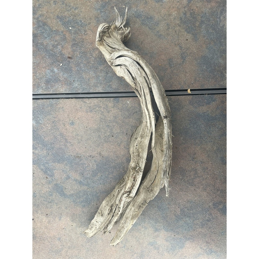 Natural Driftwood for Plants Terrarium Taxidermy Art Projects